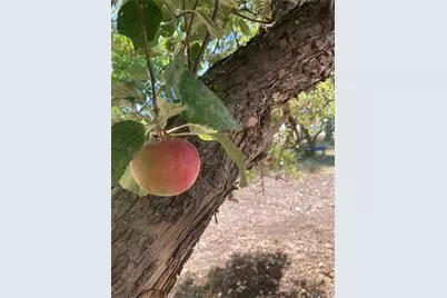 5939 Niwot Road, Longmont, CO 80503 - Photo 10