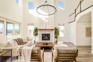 98 Simmental Loop, Castle Rock, CO 80104 - Photo 6