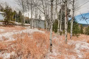 20543 Cypress Dr, Morrison, CO 80465 - Photo 28