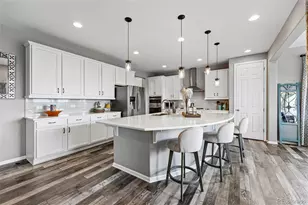 2511 Loon Ln, Castle Rock, CO 80104 - Photo 8