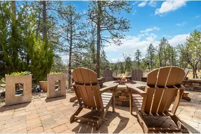 1600 Knotty Pine Way, Castle Rock, CO 80108 - Photo 42