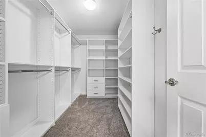 10557 Jaguar Drive, Lone Tree, CO 80124 - Photo 24