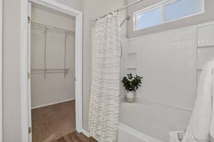 2254 Broadleaf Loop, Castle Rock, CO 80109 - Photo 20