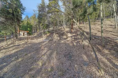 66 Lodgepole Circle, Evergreen, CO 80439 - Photo 36
