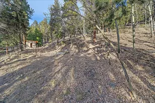 66 Lodgepole Cir, Evergreen, CO 80439 - Photo 36