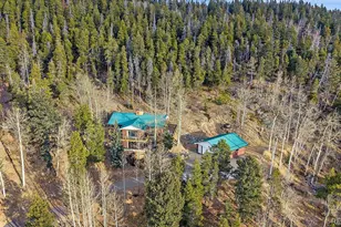 66 Lodgepole Cir, Evergreen, CO 80439 - Photo 44