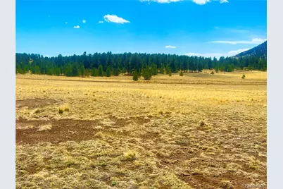 90 Meadow Lane, Guffey, CO 80820 - Photo 8