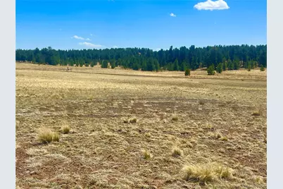 90 Meadow Lane, Guffey, CO 80820 - Photo 12
