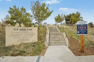 6982 Hyland Hills St, Castle Pines, CO 80108 - Photo 44