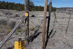 973 Conejos Trails, Antonito, CO 81120 - Photo 50
