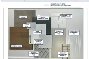 712 Punter St, Erie, CO 80516 - Photo 12