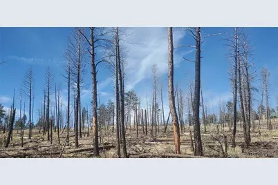 Lot 585 Leslie Loop, Fort Garland, CO 81133 - Photo 4