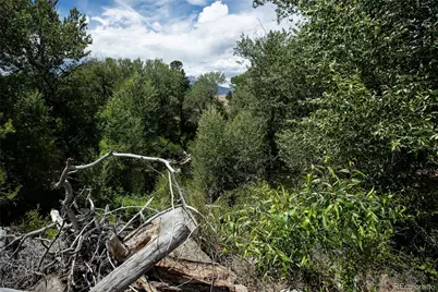 27835 County Road 301, Buena Vista, CO 81211 - Photo 6