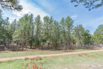 8257 Bannock Drive, Larkspur, CO 80118 - Photo 10