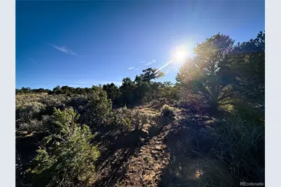 00 Paine Road N, Fort Garland, CO 81133 - Photo 8