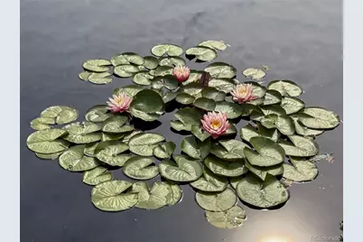 1243 N Gaylord Street #205, Denver, CO 80206 - Photo 44