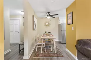 1243 N Gaylord St, Denver, CO 80206 - Photo 8