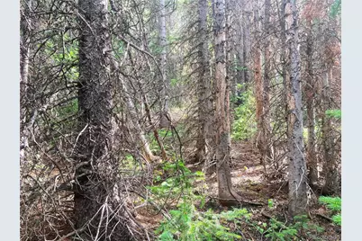 00 Fs 413.1, Black Hawk, CO 80422 - Photo 2