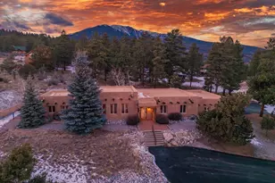 30511 Pine Glen Ct, Buena Vista, CO 81211 - Photo 2
