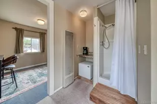 30350 Co Rd 383, Buena Vista, CO 81211 - Photo 32