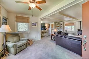 30350 Co Rd 383, Buena Vista, CO 81211 - Photo 12