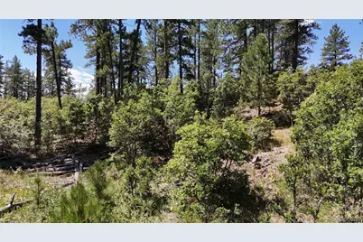 5080 S Perry Park Road, Sedalia, CO 80135 - Photo 28