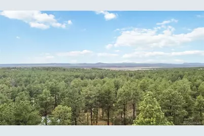 1125 Deerpath Road, Franktown, CO 80116 - Photo 34