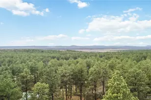 1125 Deerpath Rd, Franktown, CO 80116 - Photo 34