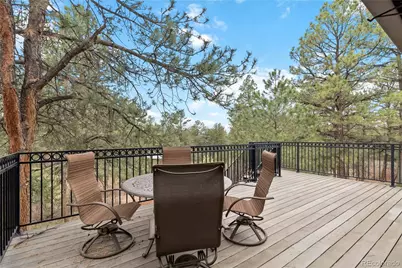 1125 Deerpath Road, Franktown, CO 80116 - Photo 10