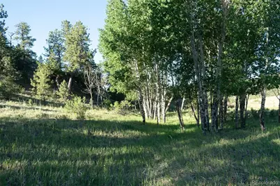 0 Big Buck Road, Guffey, CO 80820 - Photo 48