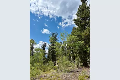 0 Beaver Creek Road, Alma, CO 80420 - Photo 10