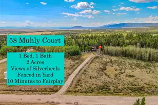 58 Muhly Ct, Fairplay, CO 80440 - Photo 4