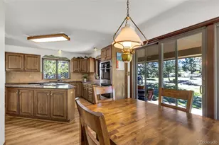 21556 Spring Creek Trail, Pine, CO 80425 - Photo 14
