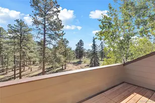 21556 Spring Creek Trail, Pine, CO 80425 - Photo 28