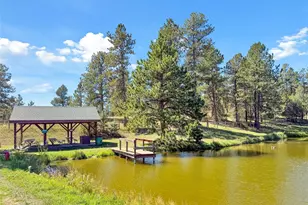 21556 Spring Creek Trail, Pine, CO 80425 - Photo 50