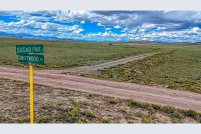 551 Sugar Pine Lane, Hartsel, CO 80449 - Photo 4