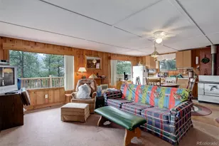 [Address not provided], Bailey, CO - Photo 4