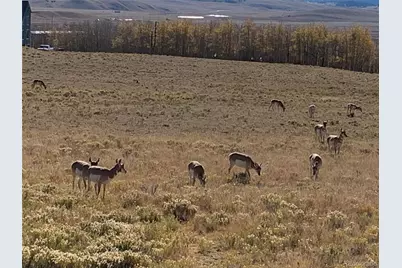 Michigan Hill Road, Jefferson, CO 80456 - Photo 14