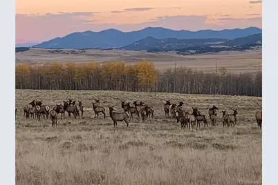 Michigan Hill Road, Jefferson, CO 80456 - Photo 4