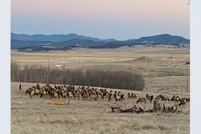 Michigan Hill Road, Jefferson, CO 80456 - Photo 16