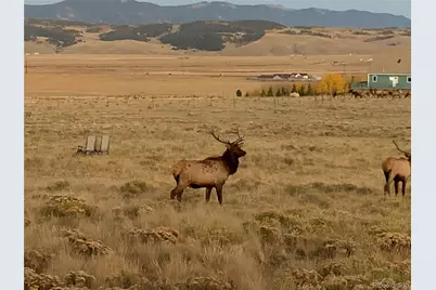 Michigan Hill Road, Jefferson, CO 80456 - Photo 10