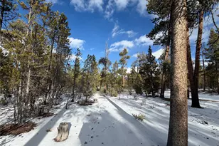 379 Peak View Dr, Leadville, CO 80461 - Photo 1