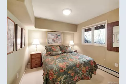 28 Sky Pilot Drive, Silverthorne, CO 80498 - Photo 36