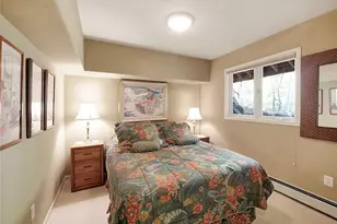 28 Sky Pilot Dr, Silverthorne, CO 80498 - Photo 36