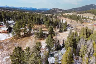 10783 Fox Trot Ln, Conifer, CO 80433 - Photo 44