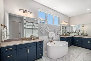 14341 Beebalm Loop, Parker, CO 80134 - Photo 8