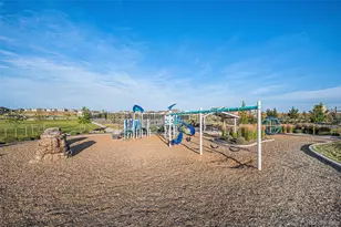 14341 Beebalm Loop, Parker, CO 80134 - Photo 36