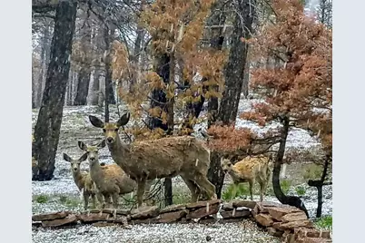 3119-3121 Segal Place, Fort Garland, CO 81133 - Photo 18