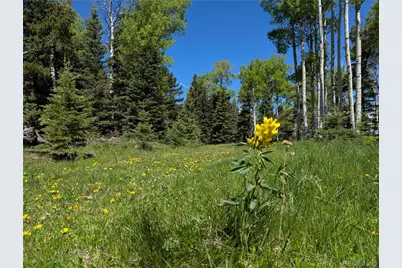 3119-3121 Segal Place, Fort Garland, CO 81133 - Photo 6