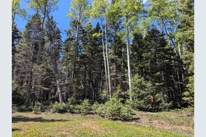 3119-3121 Segal Place, Fort Garland, CO 81133 - Photo 14